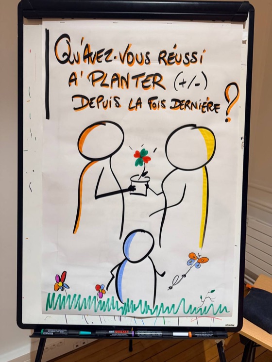 Paperboard : qu'avez-vous réussi à planter, par Alban Montreuil